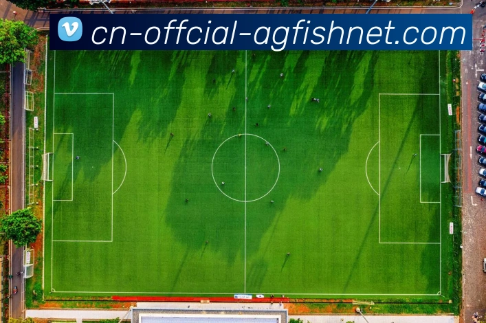 App Interface Preview