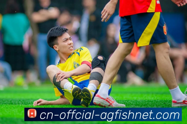 AG捕鱼王官网APP 封面图